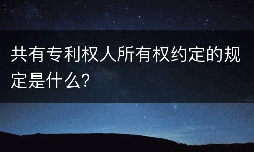 共有专利权人所有权约定的规定是什么？