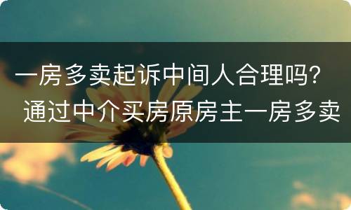 一房多卖起诉中间人合理吗？ 通过中介买房原房主一房多卖