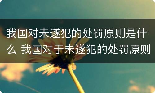 我国对未遂犯的处罚原则是什么 我国对于未遂犯的处罚原则是