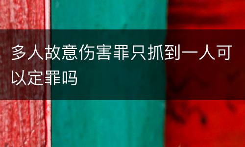 多人故意伤害罪只抓到一人可以定罪吗