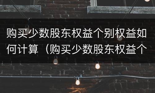 购买少数股东权益个别权益如何计算（购买少数股东权益个别权益如何计算增值税）