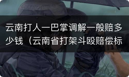 云南打人一巴掌调解一般赔多少钱（云南省打架斗殴赔偿标准）