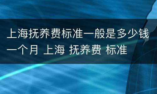 上海抚养费标准一般是多少钱一个月 上海 抚养费 标准