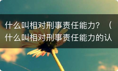 什么叫相对刑事责任能力？（什么叫相对刑事责任能力的认定）