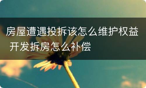 房屋遭遇投拆该怎么维护权益 开发拆房怎么补偿