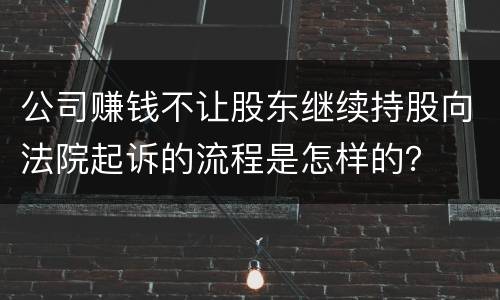 公司赚钱不让股东继续持股向法院起诉的流程是怎样的？