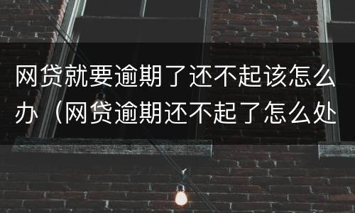 网贷就要逾期了还不起该怎么办（网贷逾期还不起了怎么处理）