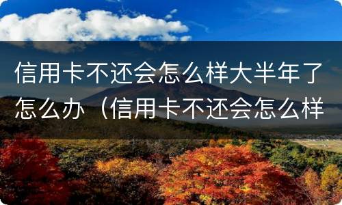 信用卡不还会怎么样大半年了怎么办（信用卡不还会怎么样大半年了怎么办呢）