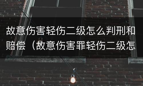 故意伤害轻伤二级怎么判刑和赔偿（故意伤害罪轻伤二级怎样判刑）