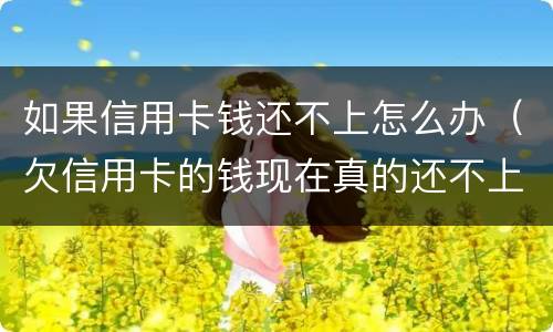 如果信用卡钱还不上怎么办（欠信用卡的钱现在真的还不上怎么办）