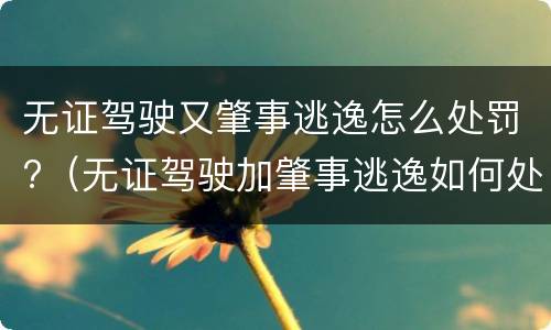 无证驾驶又肇事逃逸怎么处罚?（无证驾驶加肇事逃逸如何处罚）