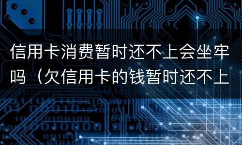 信用卡消费暂时还不上会坐牢吗（欠信用卡的钱暂时还不上会坐牢吗）