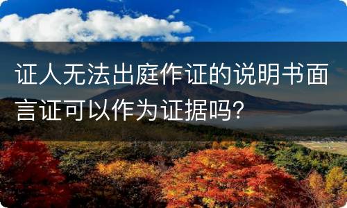 证人无法出庭作证的说明书面言证可以作为证据吗？