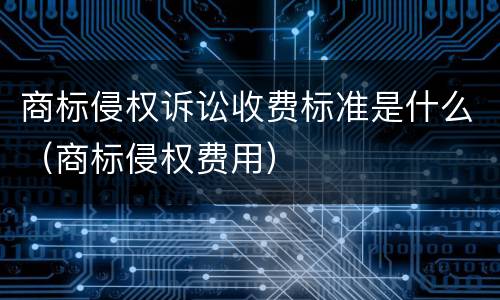 商标侵权诉讼收费标准是什么（商标侵权费用）