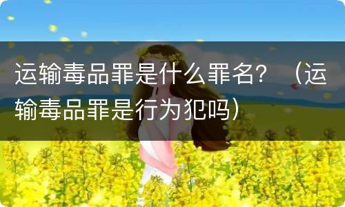 运输毒品罪是什么罪名？（运输毒品罪是行为犯吗）