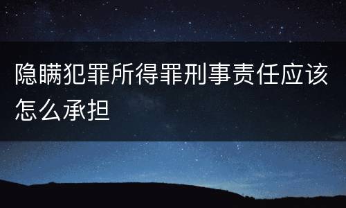 隐瞒犯罪所得罪刑事责任应该怎么承担