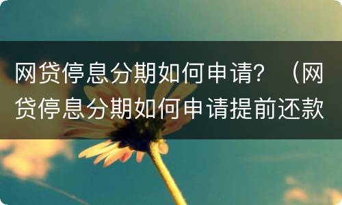 网贷停息分期如何申请？（网贷停息分期如何申请提前还款）