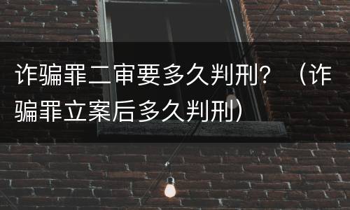 诈骗罪二审要多久判刑？（诈骗罪立案后多久判刑）