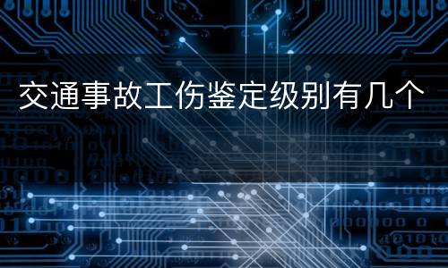 交通事故工伤鉴定级别有几个