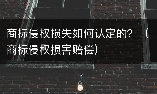 商标侵权损失如何认定的？（商标侵权损害赔偿）