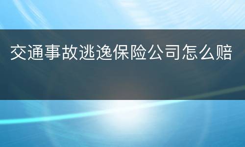 交通事故逃逸保险公司怎么赔