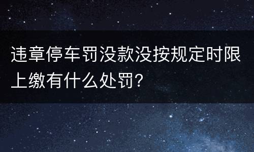 违章停车罚没款没按规定时限上缴有什么处罚？