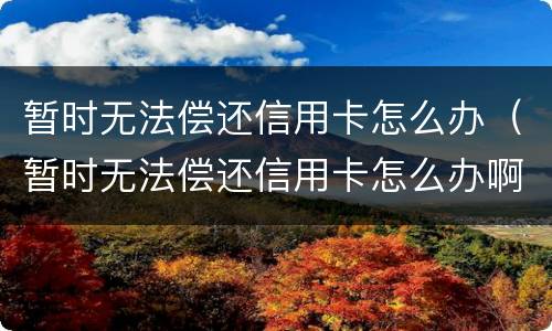 暂时无法偿还信用卡怎么办（暂时无法偿还信用卡怎么办啊）