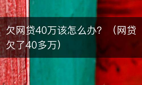 欠网贷40万该怎么办？（网贷欠了40多万）