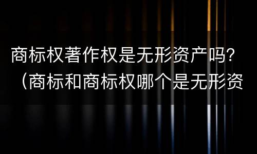 商标权著作权是无形资产吗？（商标和商标权哪个是无形资产）