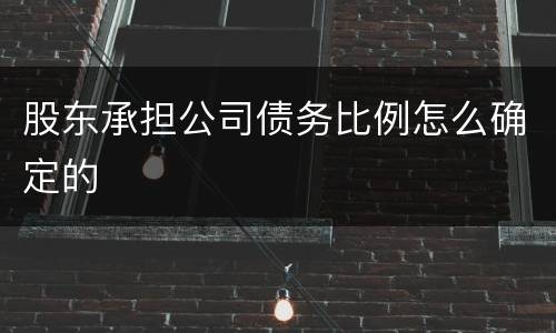 股东承担公司债务比例怎么确定的