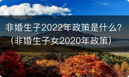 非婚生子2022年政策是什么？（非婚生子女2020年政策）