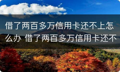 借了两百多万信用卡还不上怎么办 借了两百多万信用卡还不上怎么办呀