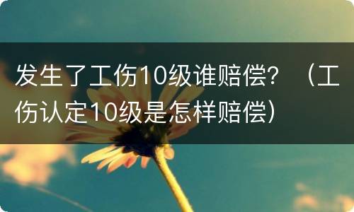 发生了工伤10级谁赔偿？（工伤认定10级是怎样赔偿）