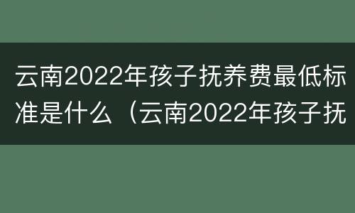 云南2022年孩子抚养费最低标准是什么（云南2022年孩子抚养费最低标准是什么呢）