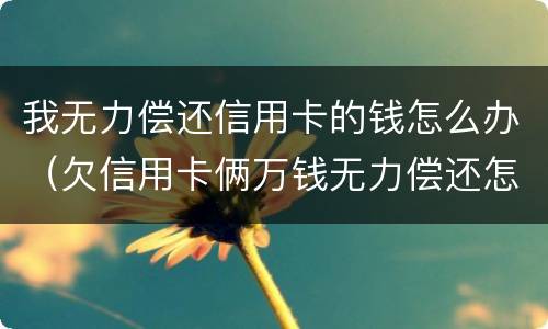 我无力偿还信用卡的钱怎么办（欠信用卡俩万钱无力偿还怎么办）