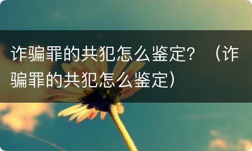诈骗罪的共犯怎么鉴定？（诈骗罪的共犯怎么鉴定）