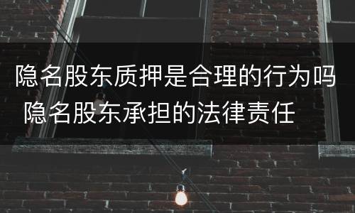 隐名股东质押是合理的行为吗 隐名股东承担的法律责任