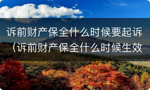 诉前财产保全什么时候要起诉（诉前财产保全什么时候生效）