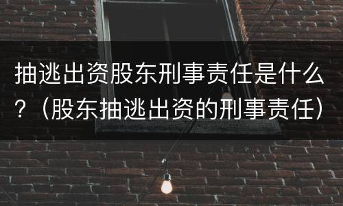 抽逃出资股东刑事责任是什么?（股东抽逃出资的刑事责任）
