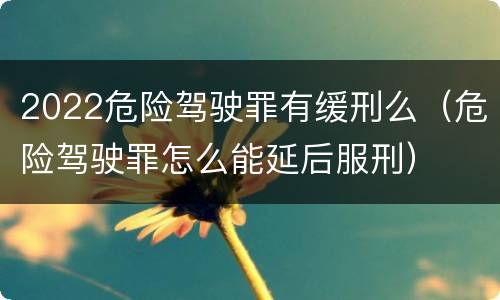 2022危险驾驶罪有缓刑么（危险驾驶罪怎么能延后服刑）