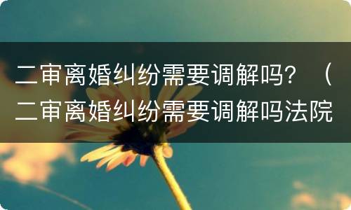 二审离婚纠纷需要调解吗？（二审离婚纠纷需要调解吗法院）