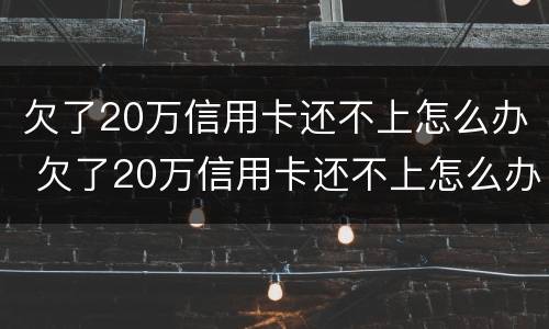 欠了20万信用卡还不上怎么办 欠了20万信用卡还不上怎么办呢