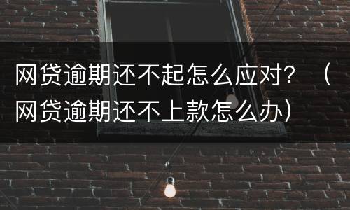网贷逾期还不起怎么应对？（网贷逾期还不上款怎么办）