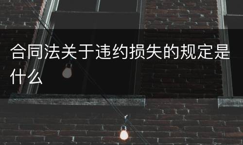 合同法关于违约损失的规定是什么