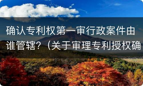 确认专利权第一审行政案件由谁管辖?（关于审理专利授权确权行政案件若干问题的规定）