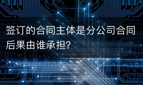 签订的合同主体是分公司合同后果由谁承担？