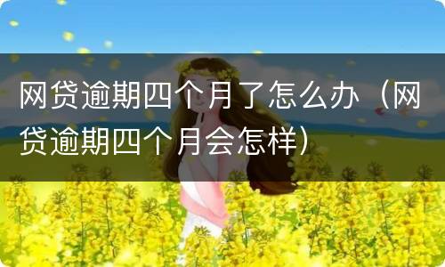 网贷逾期四个月了怎么办（网贷逾期四个月会怎样）