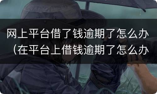 网上平台借了钱逾期了怎么办（在平台上借钱逾期了怎么办）