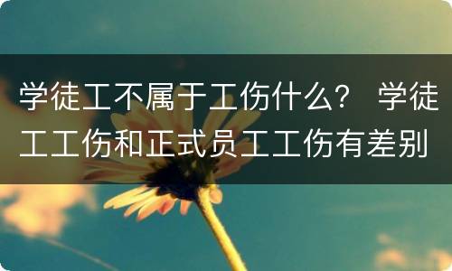 学徒工不属于工伤什么？ 学徒工工伤和正式员工工伤有差别么
