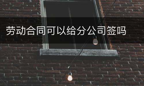 劳动合同可以给分公司签吗